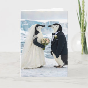 Pinguinhochzeit auf einem arktischen Gletscher Karte