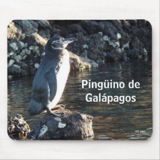 Pinguino De Galapagos Mousepad