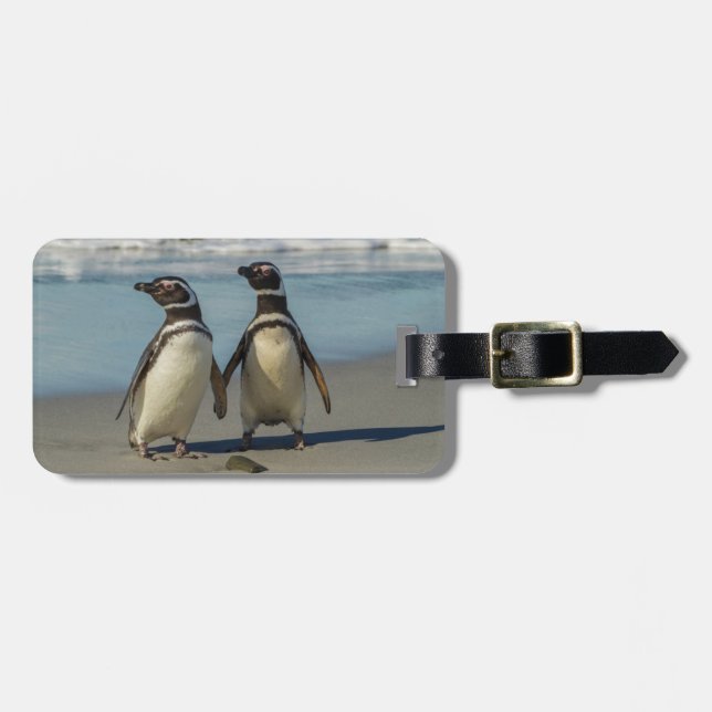Pinguinpaare am Strand Gepäckanhänger (Vorderseite horizontal)