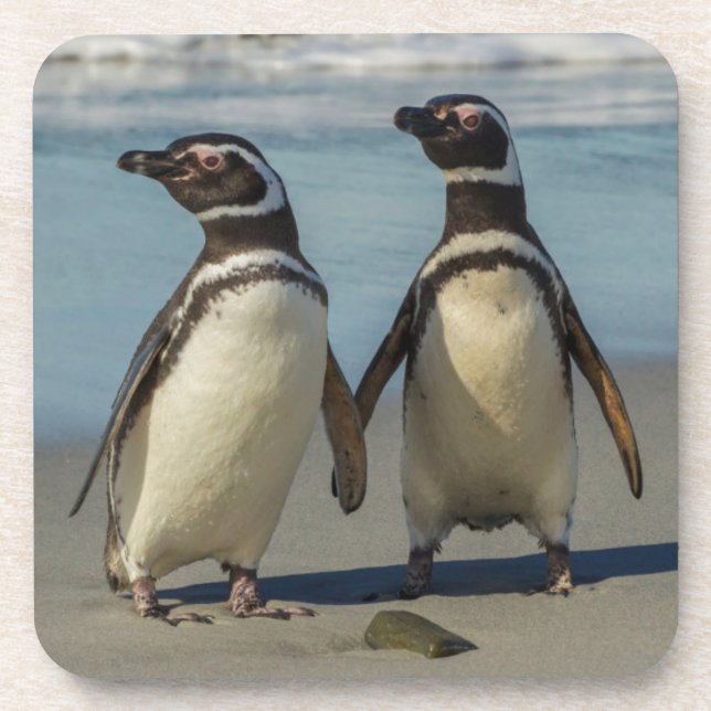Pinguinpaare am Strand Getränkeuntersetzer (Vorderseite)