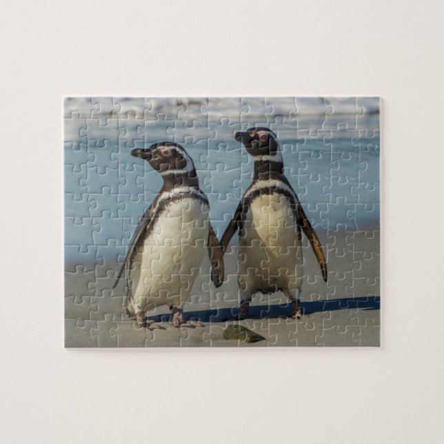 Pinguinpaare am Strand Puzzle (Horizontal)