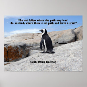 Pinguinphilosophie Poster