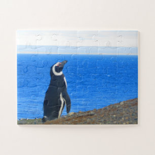 Pinguinsolo Puzzle