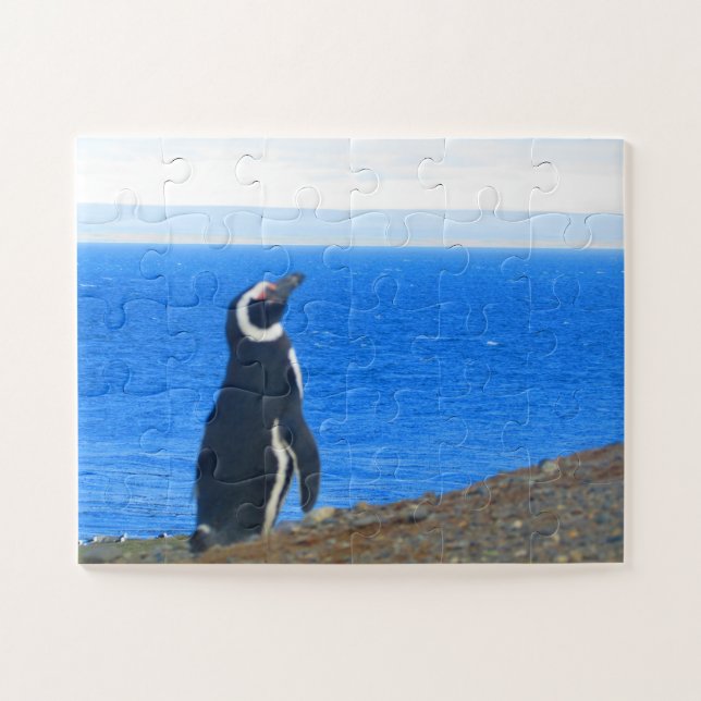 Pinguinsolo Puzzle (Horizontal)