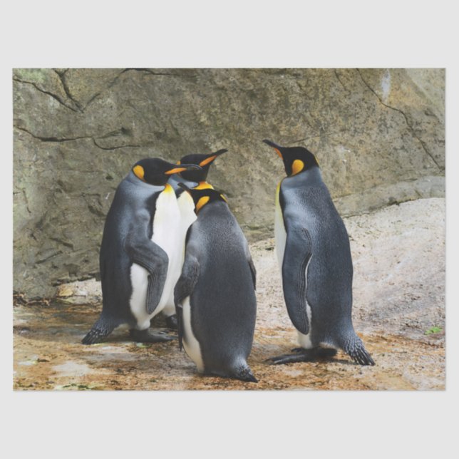 Pinguinzettel Seidenpapier (Vorderseite)