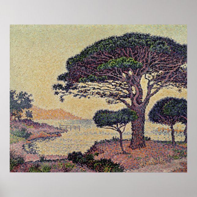 Pinien in Caroubiers, 1898 Poster (Vorne)