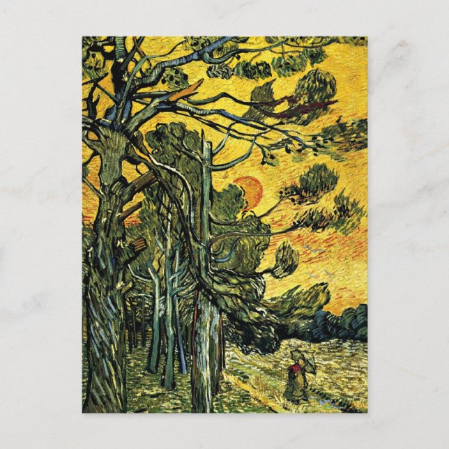 Pinienbäume gegen einen roten Himmel Postkarte (Vorderseite)