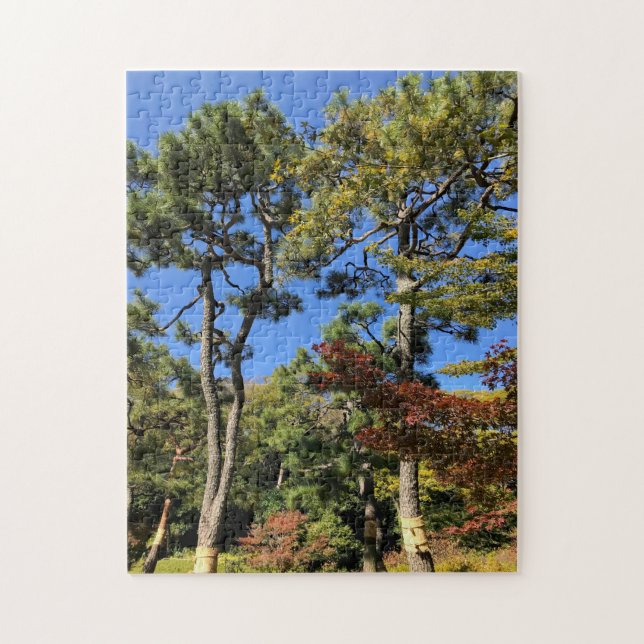 Pinienbäume im Herbst Himmel Puzzle (Vertikal)