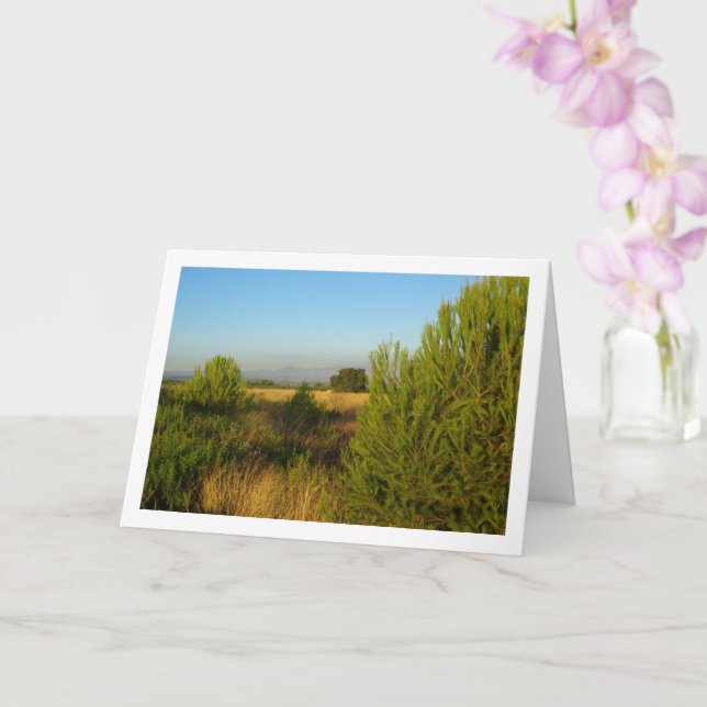 Pinienbäume Karte (Orchidee)