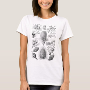 Pinienbäume T-Shirt