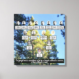 Pinienwald Foto Familienbaum 4 Generation Leinwanddruck