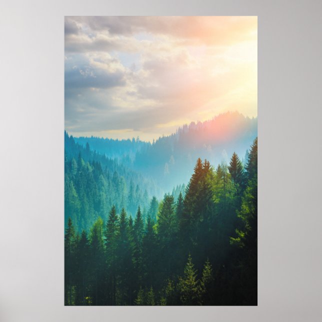 Pinienwald in den Dolomiten, Italien Poster (Vorne)