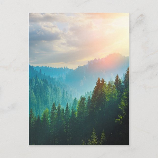 Pinienwald in den Dolomiten, Italien Postkarte (Vorderseite)