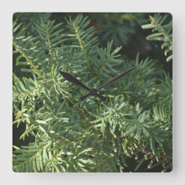 Pinienwald Quadratische Wanduhr