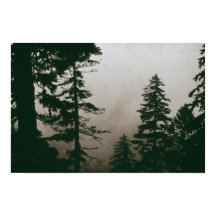 Pinienwald Vintage Pinien Wald