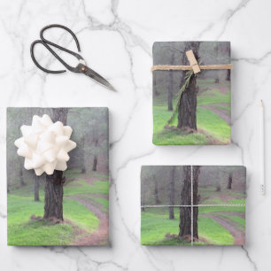 Pinienwaldstraße Geschenkpapier Set