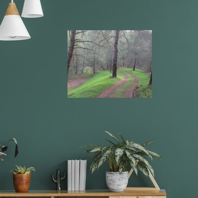 Pinienwaldstraße Poster (Wohnzimmer 1)