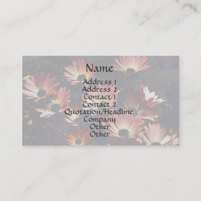 Pink African Daisies Floral Business Card Visitenkarte (Vorderseite)