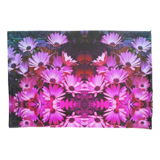 Pink African Daisy Blume Abstrakt Art Kissenbezug (Vorderseite)
