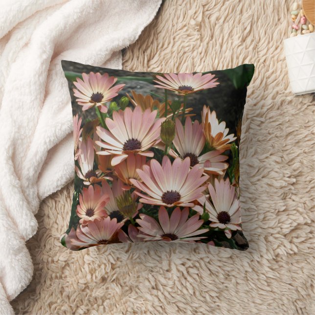 Pink African Daisy Flowers  Kissen (Decke)