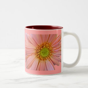 Pink African Daisy Tasse