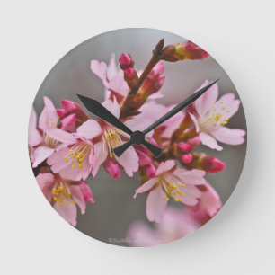 Pink Against A Gray Sky Japanese Cherry Blossoms Runde Wanduhr