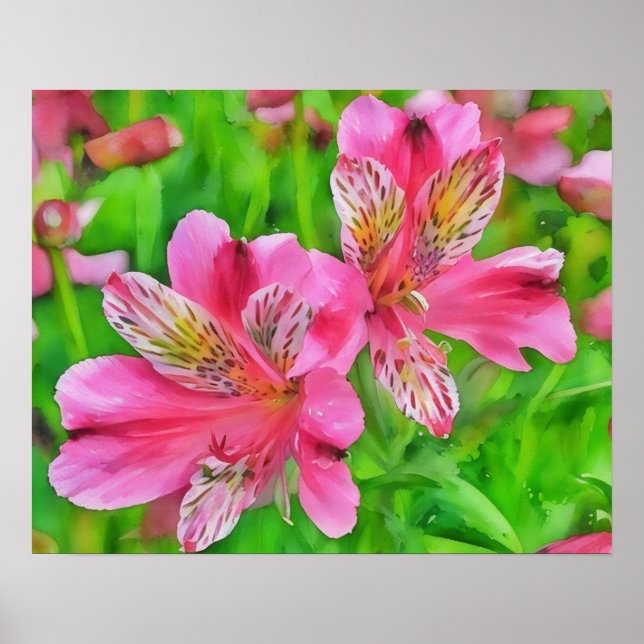 Pink Alstroemeria Lido Blume Aquarell Poster (Vorne)