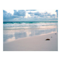 Pink am Sonnenuntergang