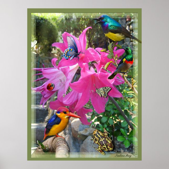 Pink-Amaryllis und Kingfisher-Poster Poster (Vorne)