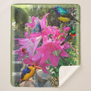 Pink-Amaryllis und Kingfisher-Poster Sherpadecke