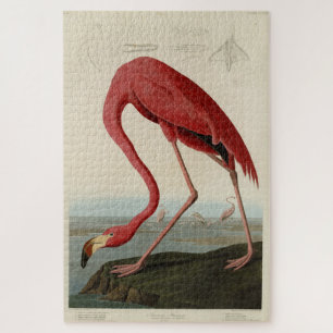 Pink American Flamingo  Audubon's Birds of America Puzzle