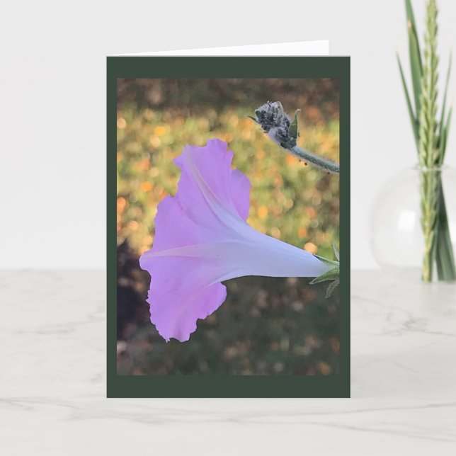 Pink and Gold Sparkle Morning Glory Blank  Karte (Vorderseite)