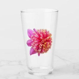Pink Anemone Dahlia Bloom Floral Glas
