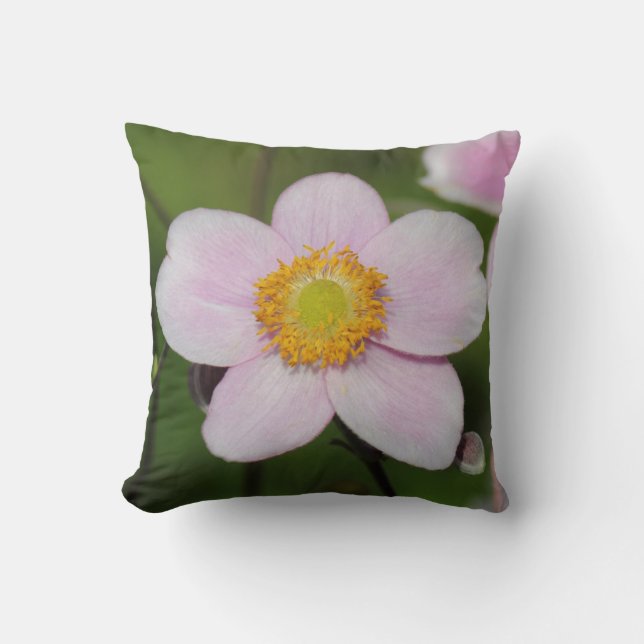 Pink Anemone Kissen (Vorderseite)