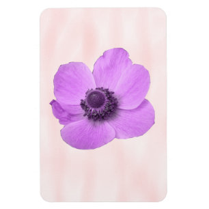 Pink Anemone Premium Magnet