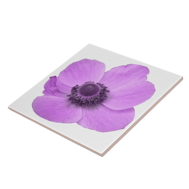 Pink Anemone Tile Fliese (Seite)