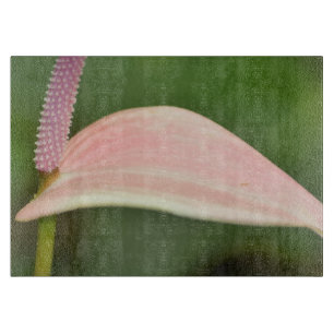 Pink Anthurium Blume Kauai, Hawaii Schneidebrett