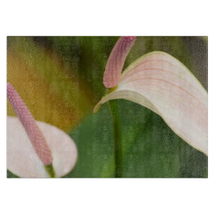 Pink Anthurium Blume Kauai Hawaii Schneidebrett