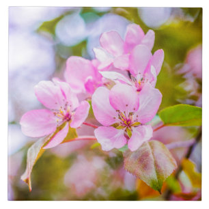 Pink Apple Blossom Fliese