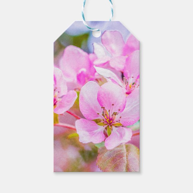 Pink Apple Blossom Geschenkanhänger (Vorderseite)