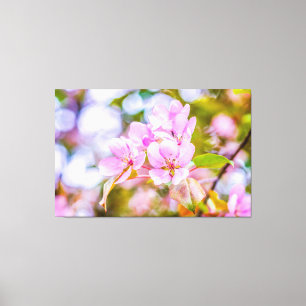 Pink Apple Blossom Leinwanddruck