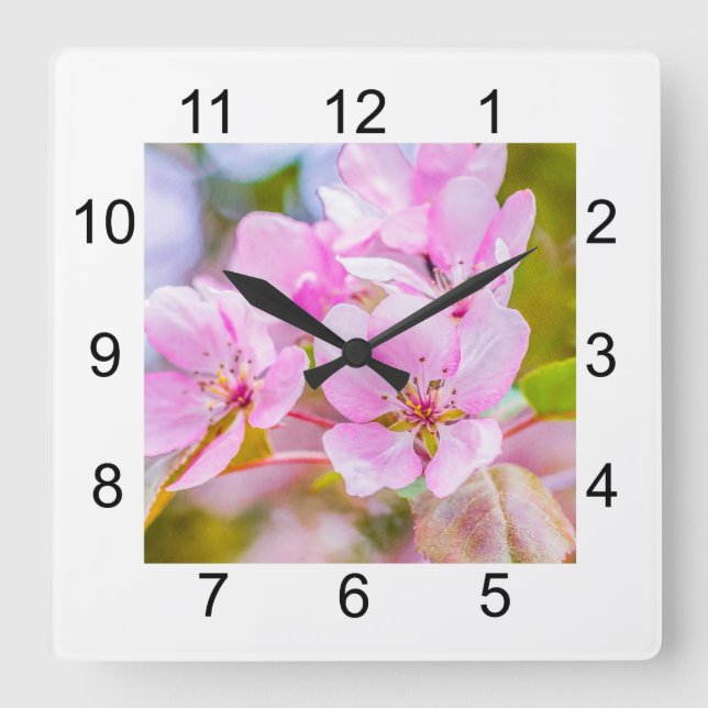 Pink Apple Blossom Quadratische Wanduhr (Vorderseite)
