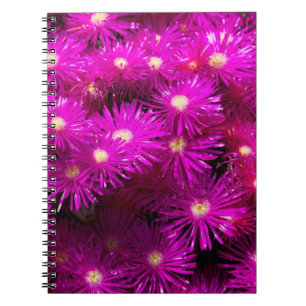 Pink-Aster-Blume Notizblock