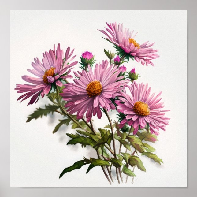 Pink Aster Blumen Art Print Poster (Vorne)