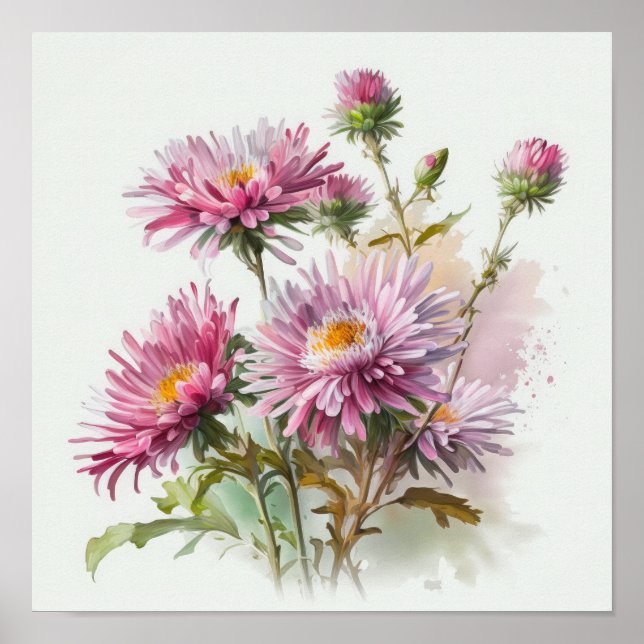 Pink Aster Blumen Art Print Poster (Vorne)