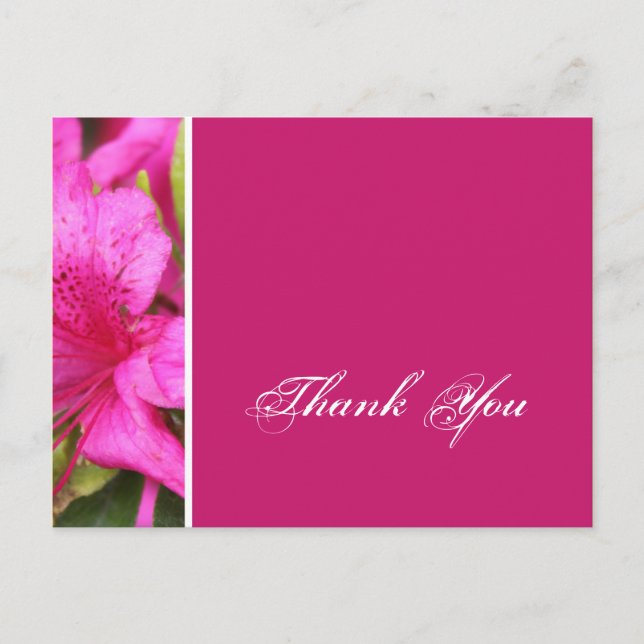 Pink azalea Blume danke Postkarten (Vorderseite)