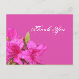 Pink azalea Blume danke Postkarten
