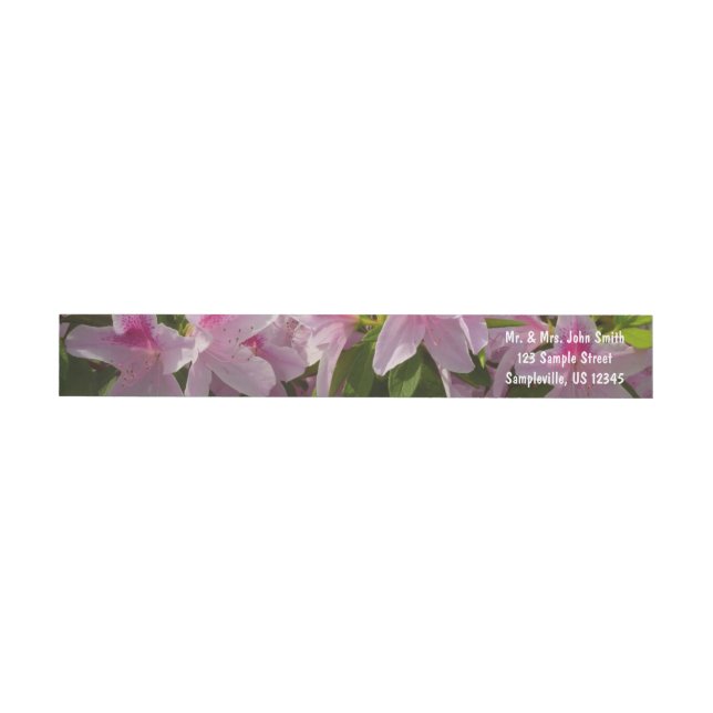 Pink Azalea Bush Frühjahr Floral (Person)