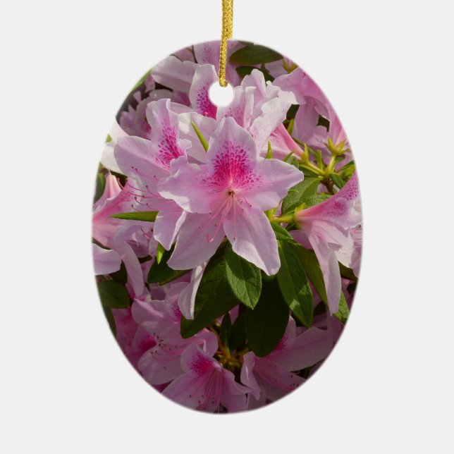 Pink Azalea Bush Frühjahr Floral Keramikornament (Vorne)