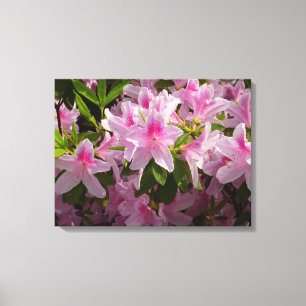 Pink Azalea Bush Frühjahr Floral Leinwanddruck